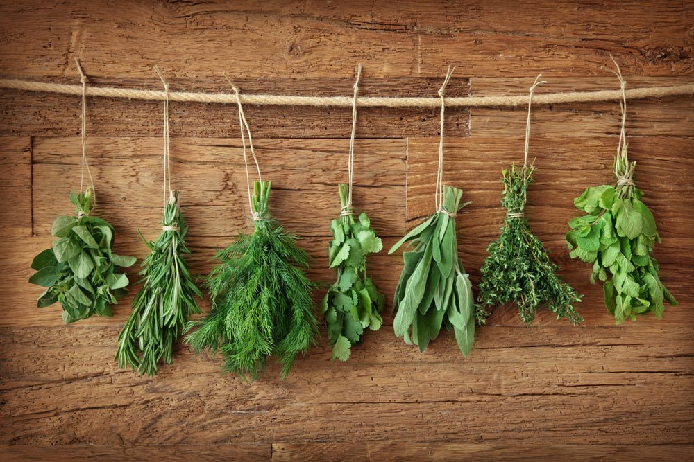 Avoid These Beginner Herb Garden Mistakes Ritchie Feed And Seed Inc