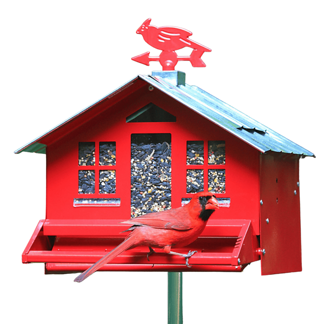 country-style-wild-bird-feeder-ritchie-feed-seed-inc