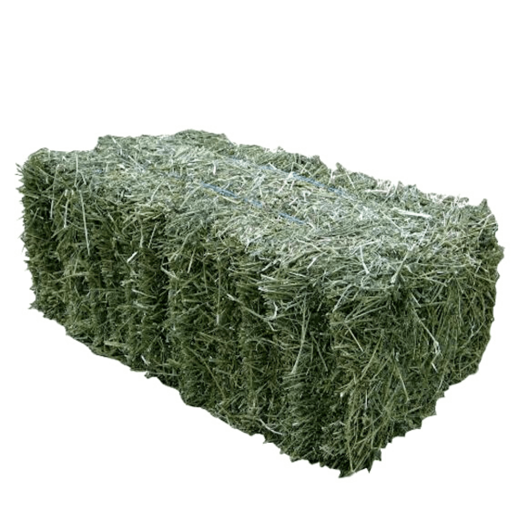 Mixed Grass Hay Bale